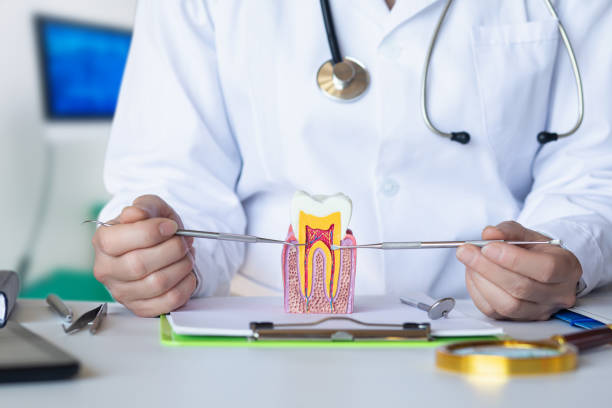 Best Weekend Emergency Dentist in Farngton, MI